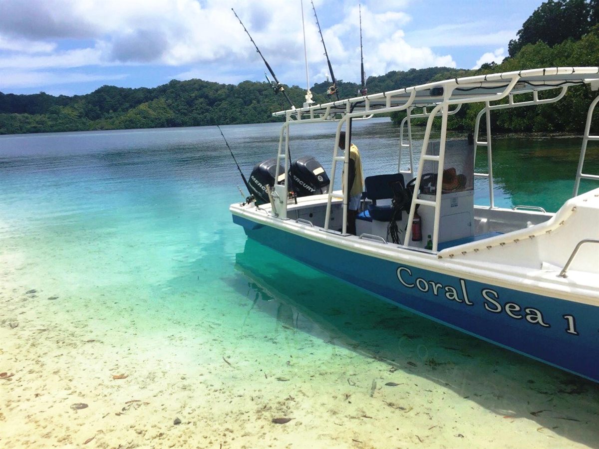 The Coral Sea boat in clear turquoise water